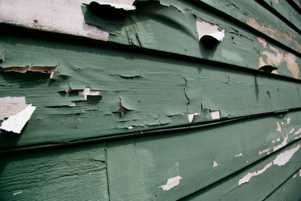 Siding Removal and Disposal in Gueydan, LA