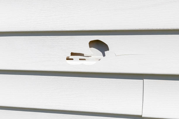 Best Fascia and Soffit Installation  in Gueydan, LA