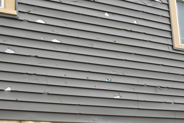 Best Weatherproofing and Sealing  in Gueydan, LA