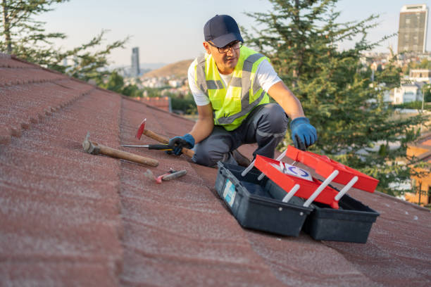 Best Stucco Siding  in Gueydan, LA