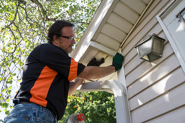 Best Residential Vinyl Siding Installation  in Gueydan, LA
